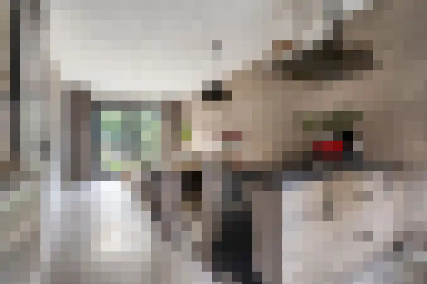 Laarveld 20 Gemert thumbnail 20