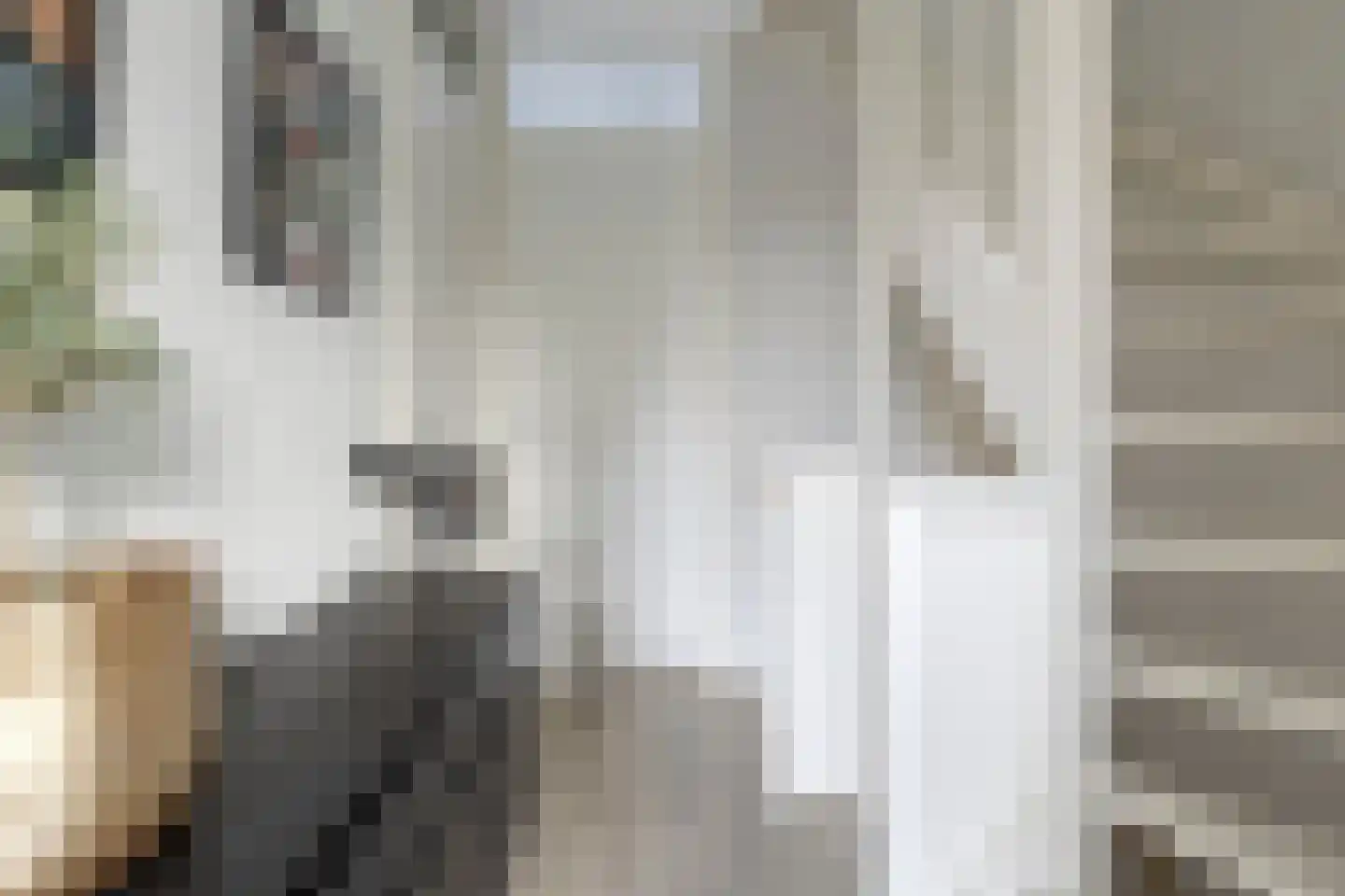 Laarveld 20 Gemert thumbnail 25