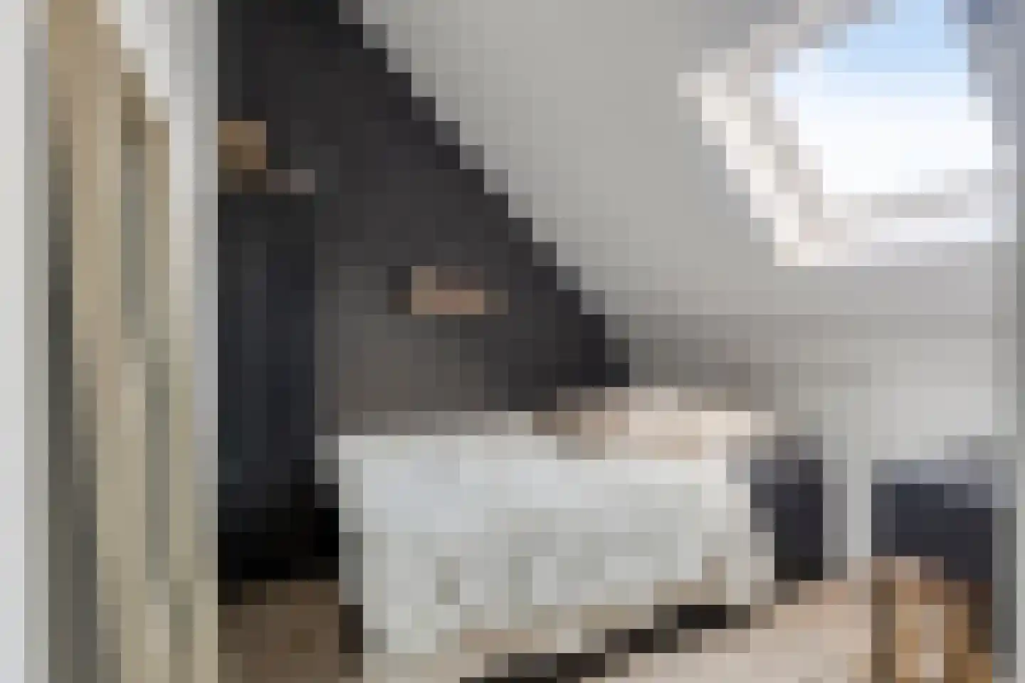 Laarveld 20 Gemert thumbnail 38