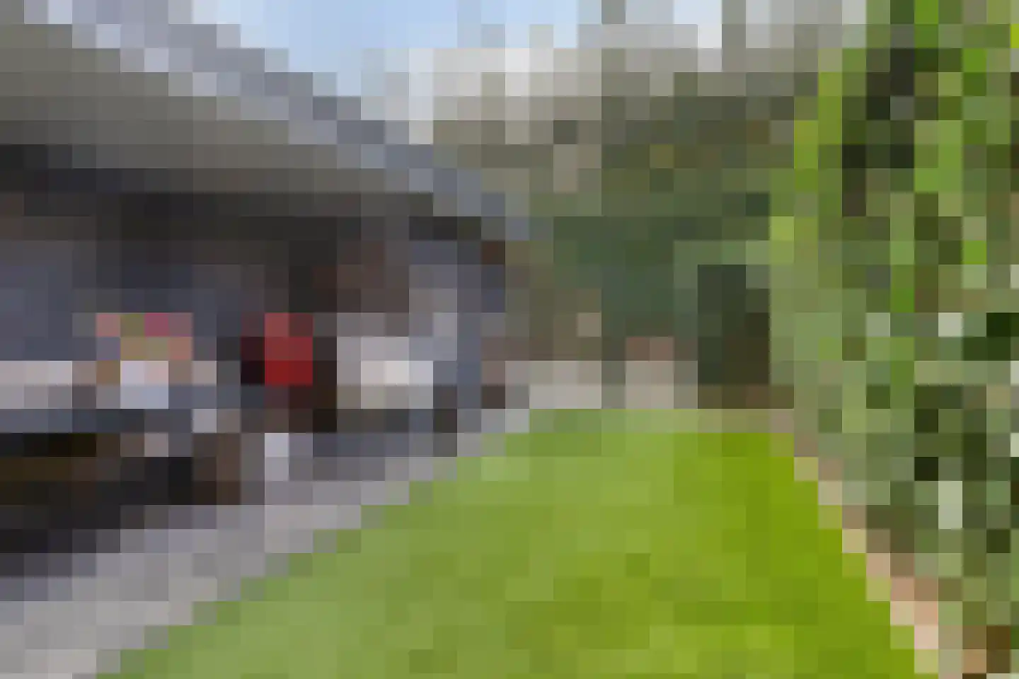 Laarveld 20 Gemert thumbnail 41