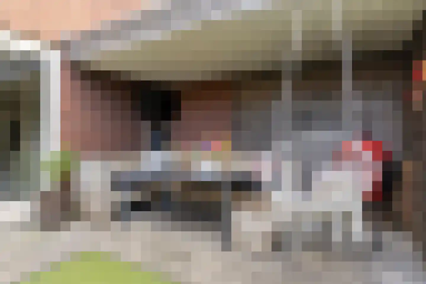 Laarveld 20 Gemert thumbnail 44