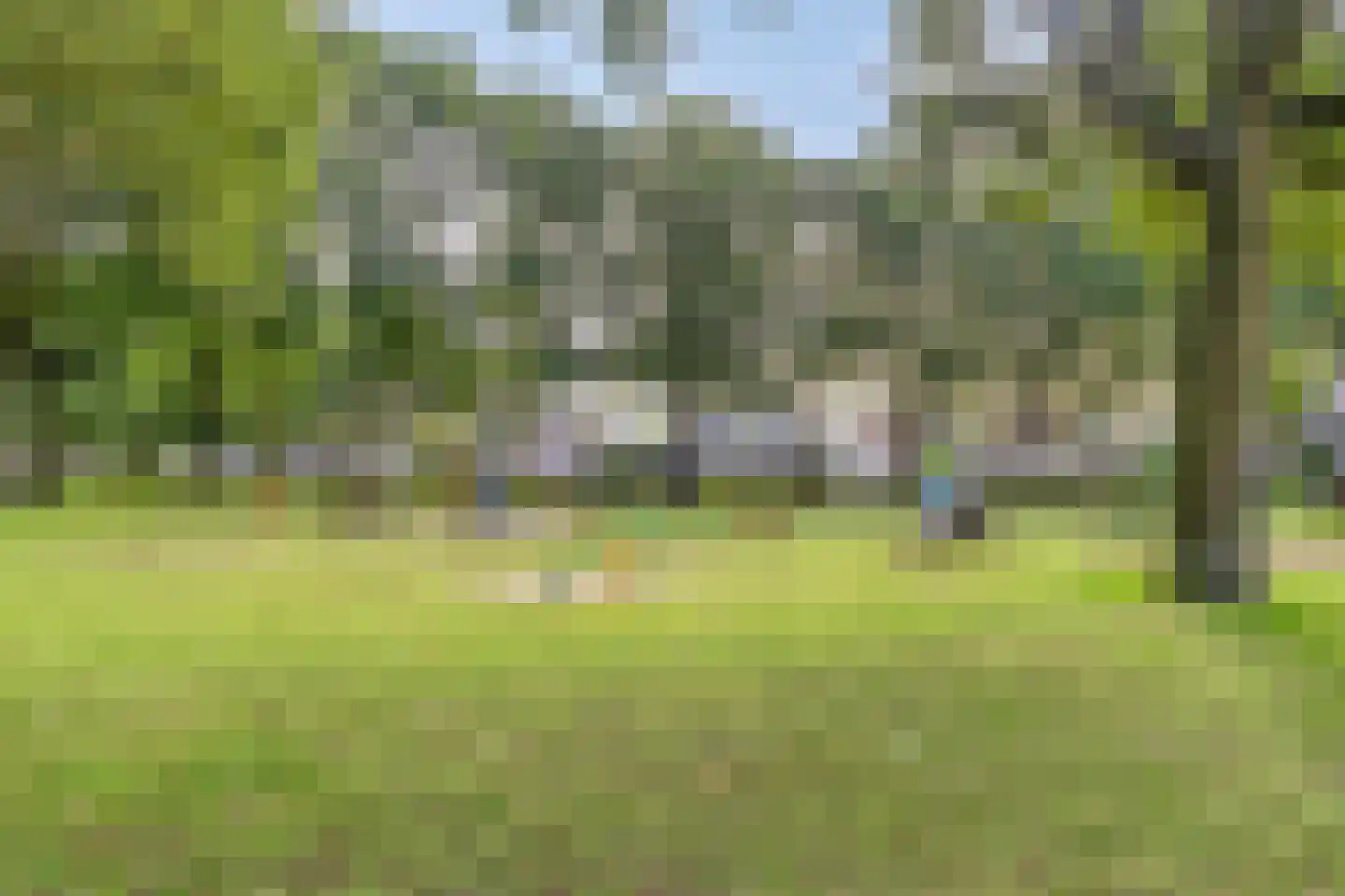 Laarveld 20 Gemert thumbnail 47