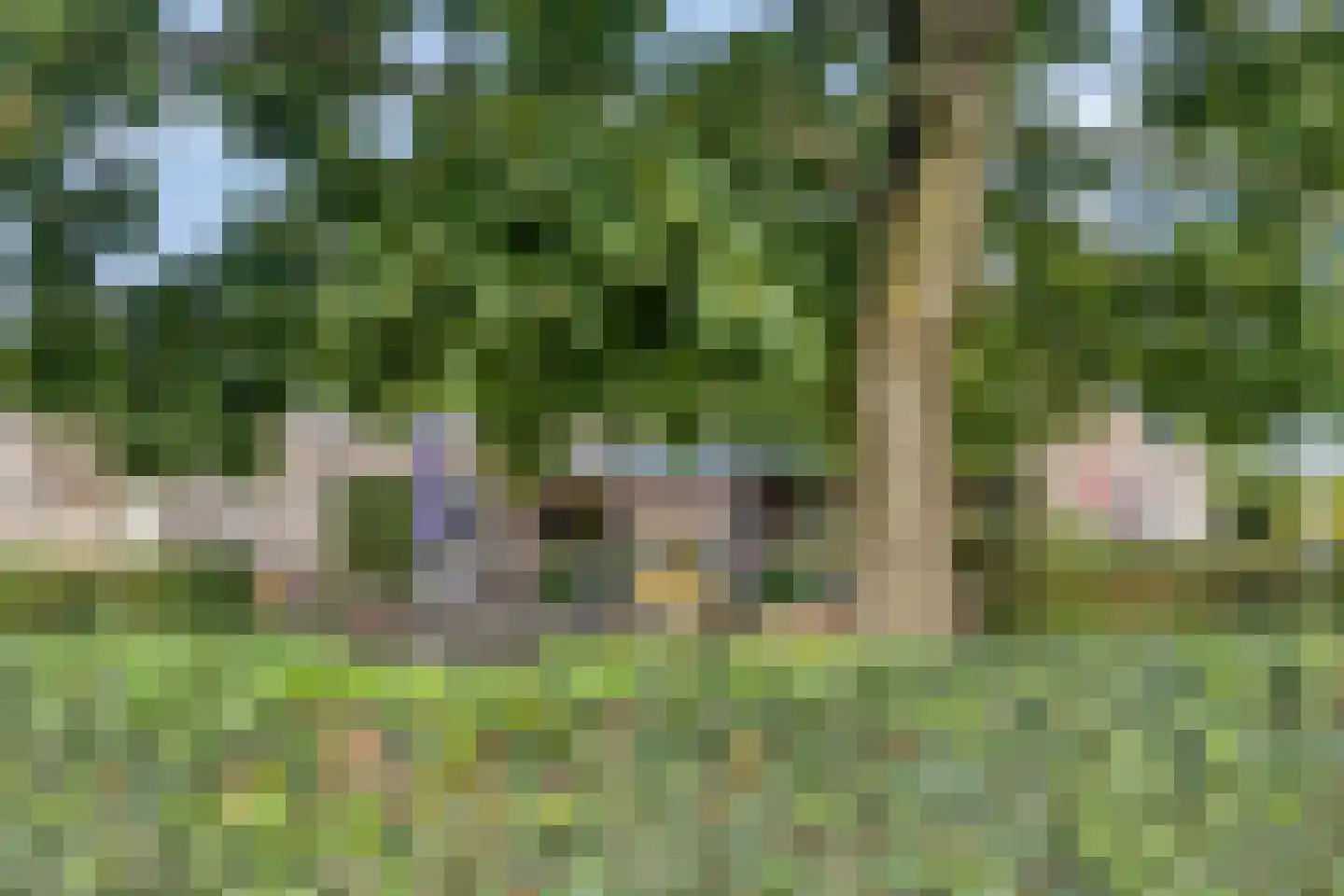 Laarveld 20 Gemert thumbnail 48