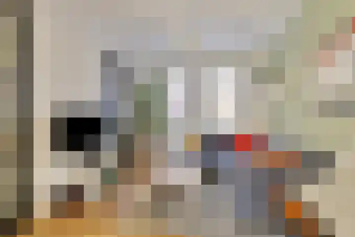 Laarveld 28 Gemert thumbnail 11