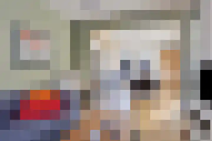 Laarveld 28 Gemert thumbnail 12