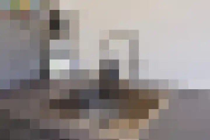 Laarveld 28 Gemert thumbnail 17