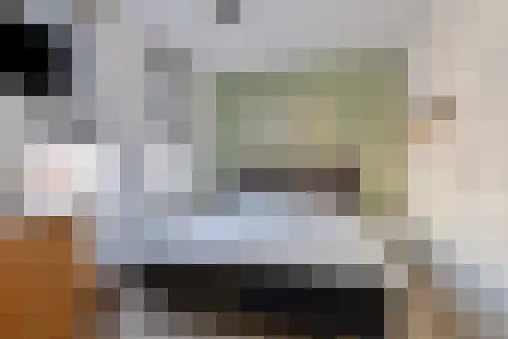 Laarveld 28 Gemert thumbnail 21