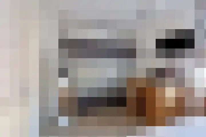 Laarveld 28 Gemert thumbnail 22