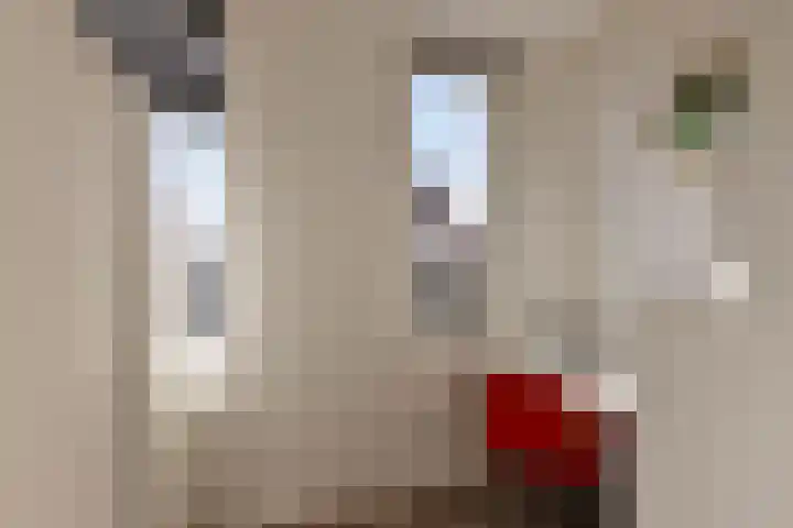 Laarveld 28 Gemert thumbnail 24
