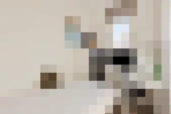 Laarveld 28 Gemert thumbnail 25