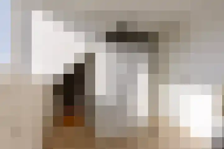 Laarveld 28 Gemert thumbnail 31