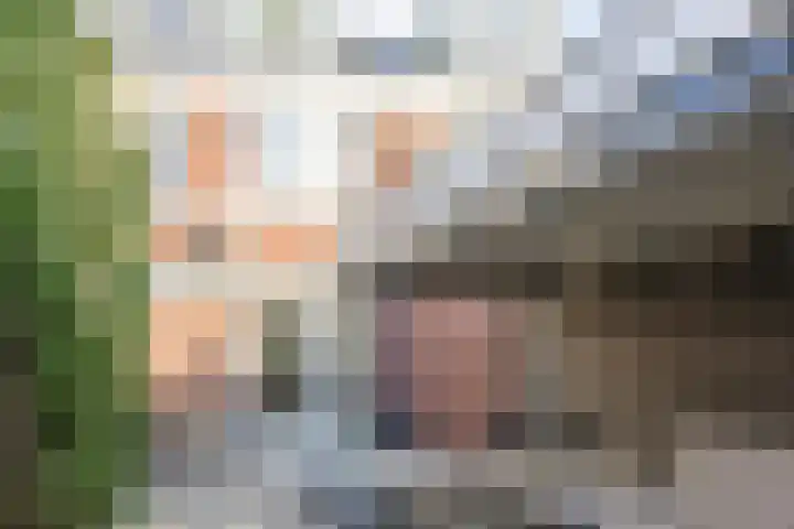 Laarveld 28 Gemert thumbnail 33
