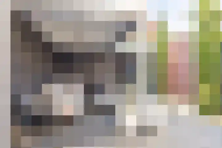 Laarveld 28 Gemert thumbnail 34