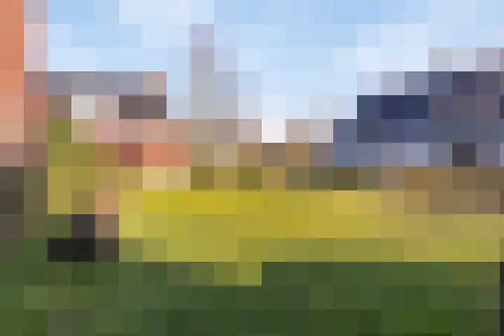 Laarveld 28 Gemert thumbnail 37