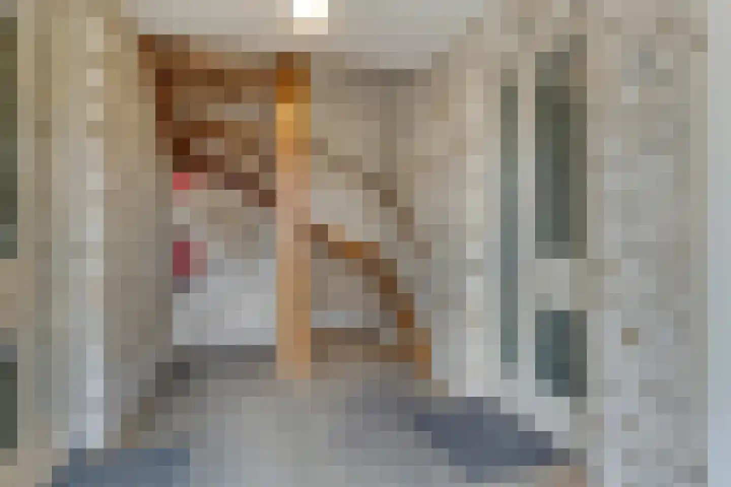 Laarveld 56 Gemert thumbnail 11
