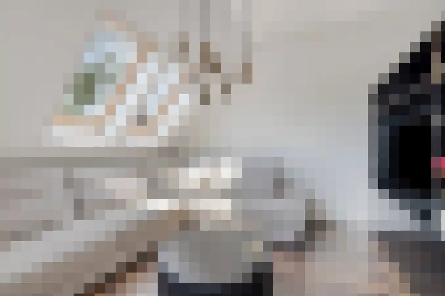 Laarveld 56 Gemert thumbnail 15
