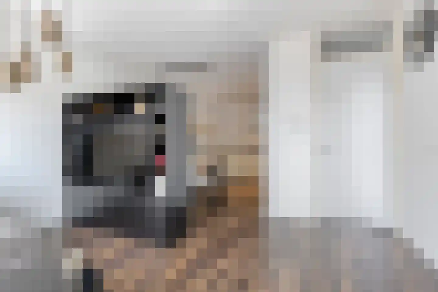Laarveld 56 Gemert thumbnail 16