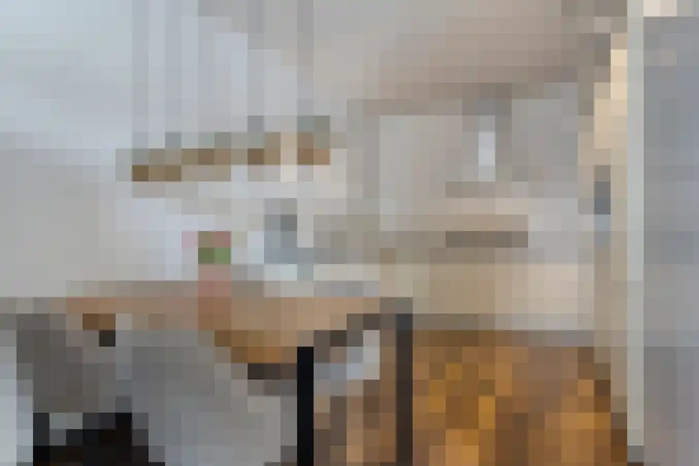Laarveld 56 Gemert thumbnail 18