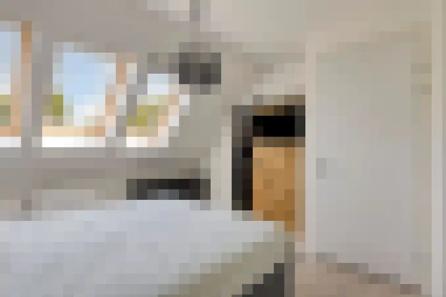 Laarveld 56 Gemert thumbnail 31