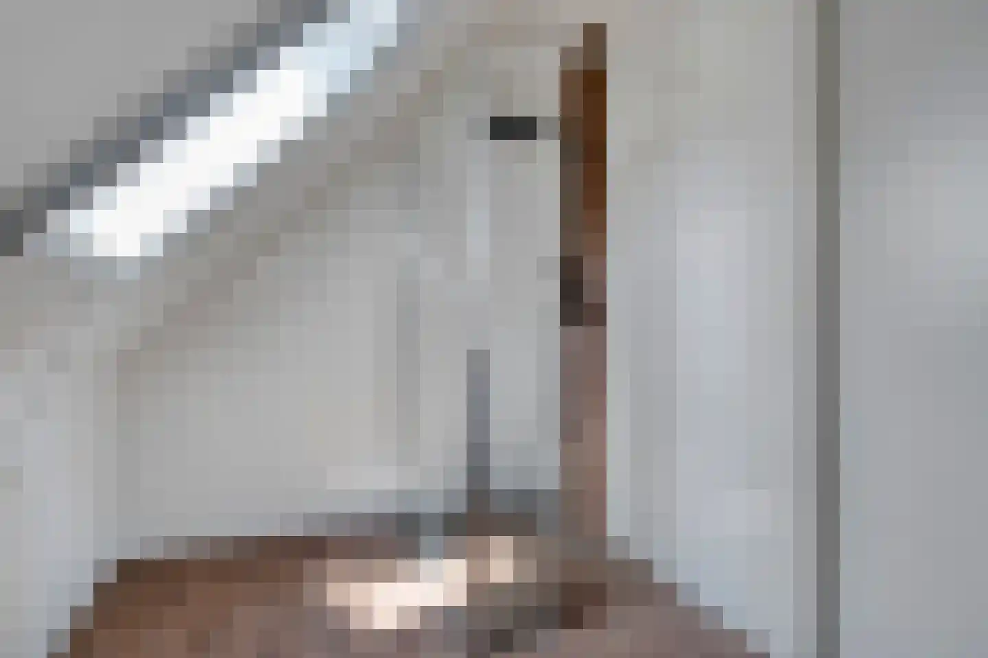 Laarveld 56 Gemert thumbnail 34