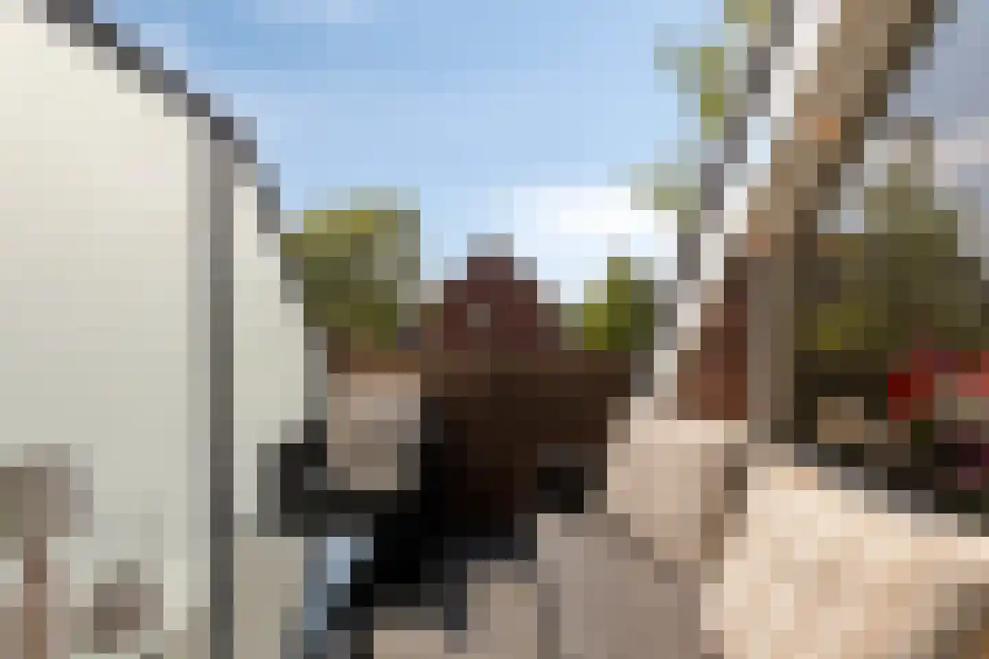 Laarveld 56 Gemert thumbnail 38