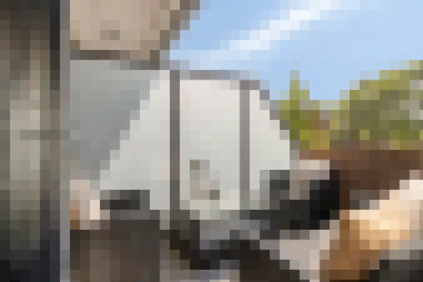 Laarveld 56 Gemert thumbnail 5