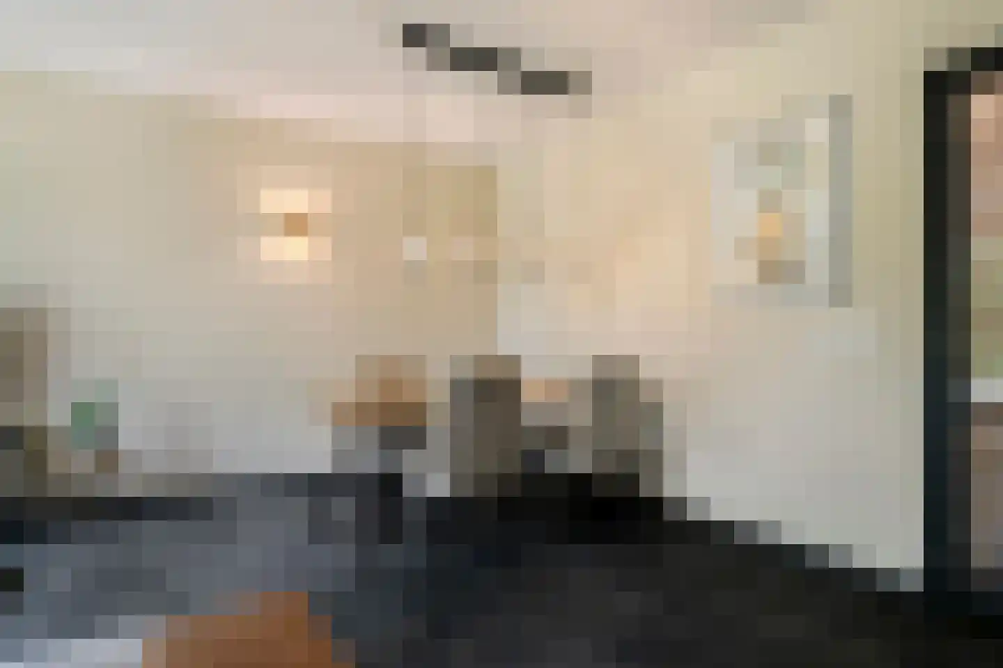 Laarveld 64 Gemert thumbnail 10