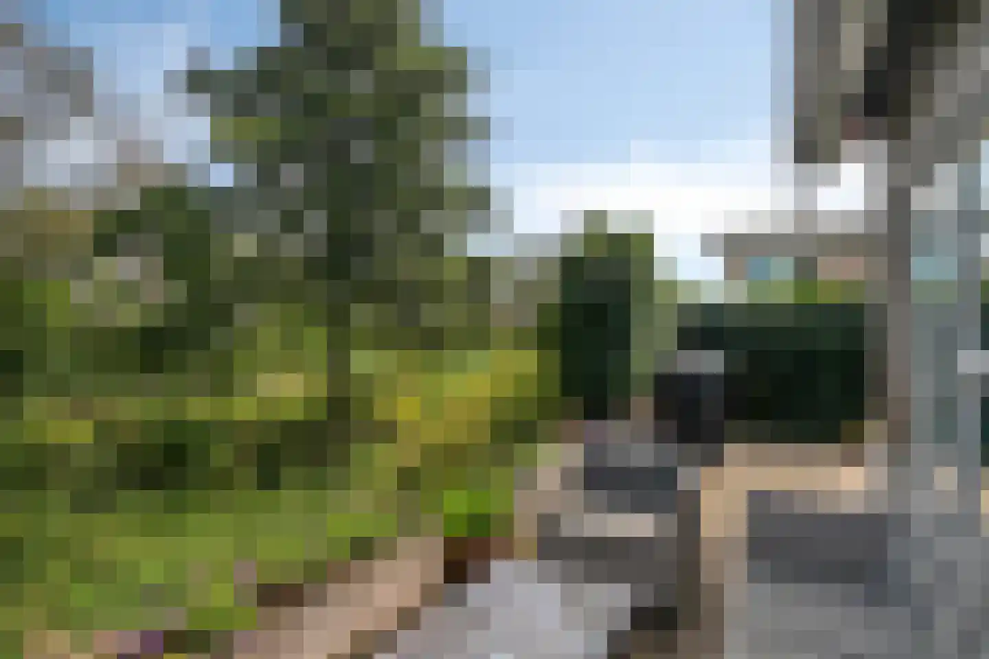Laarveld 64 Gemert thumbnail 17