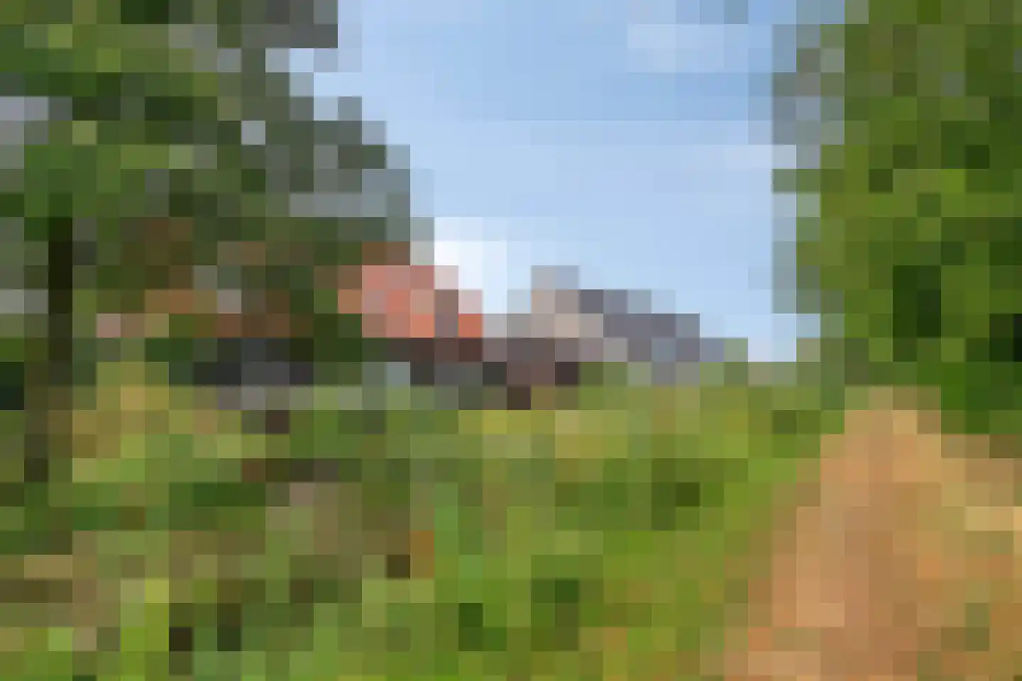 Laarveld 64 Gemert thumbnail 20