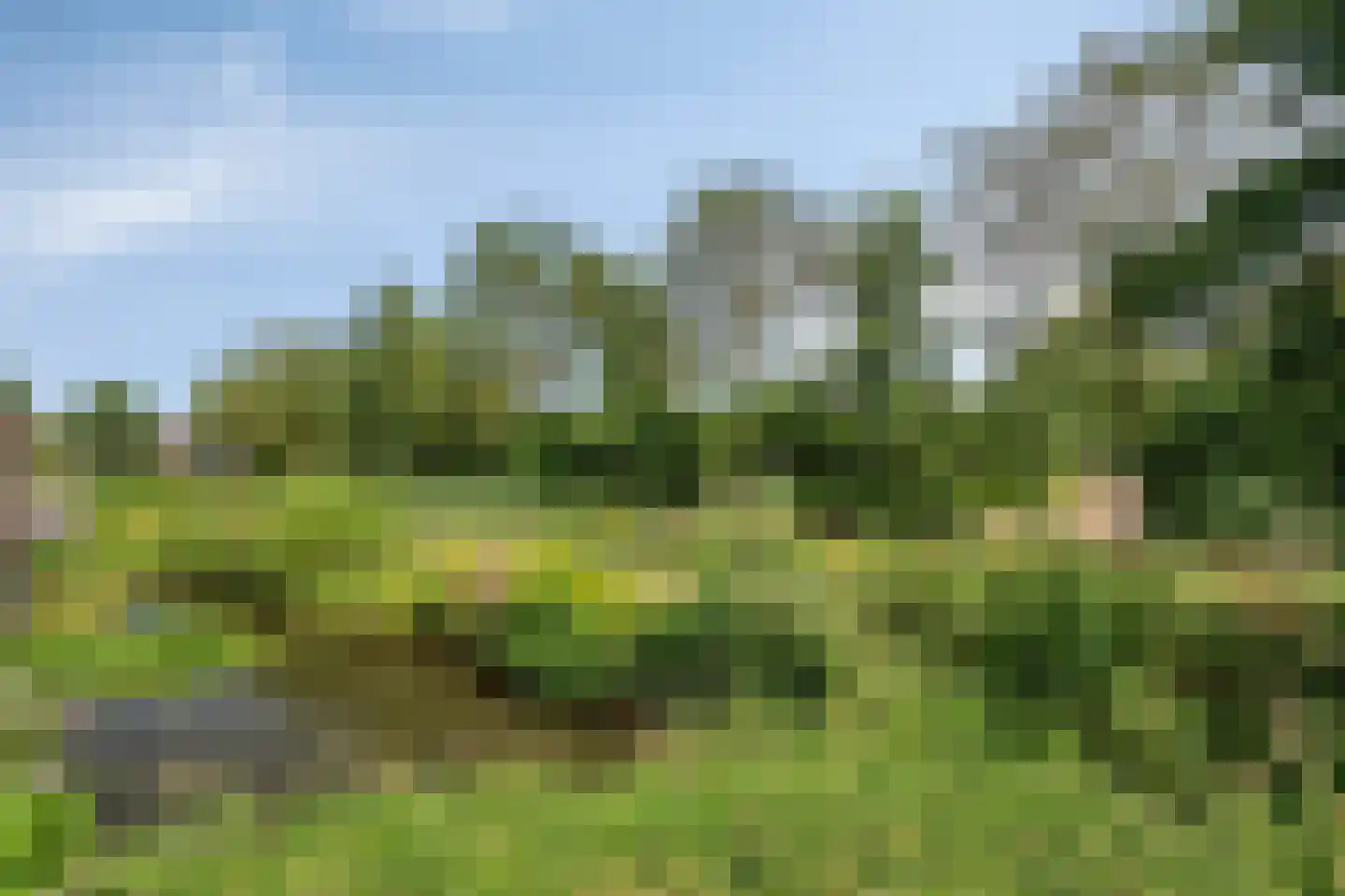 Laarveld 64 Gemert thumbnail 22