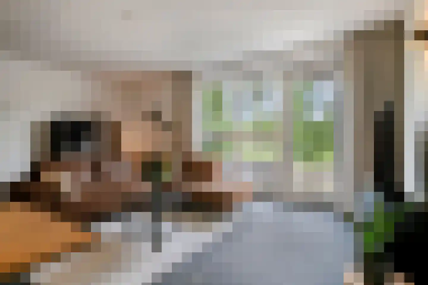 Laarveld 64 Gemert thumbnail 9