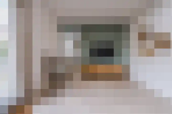 Laarveld 9 Gemert thumbnail 22