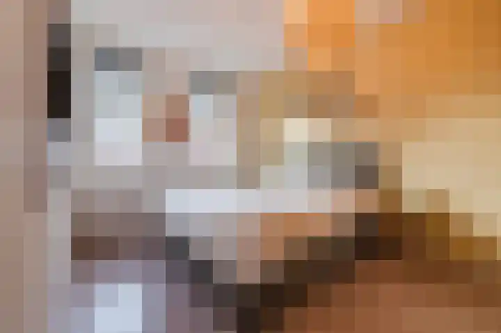 Laarveld 9 Gemert thumbnail 30