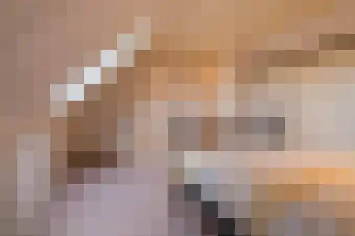 Laarveld 9 Gemert thumbnail 43