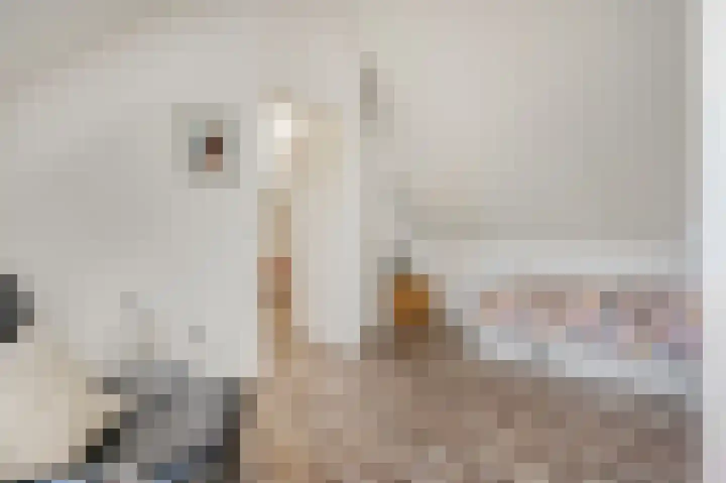 Laarweg 102 Bennekom thumbnail 32