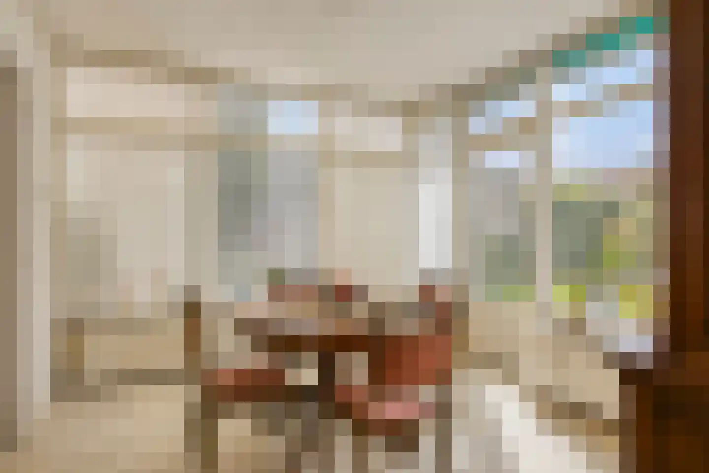 Laarweg 15 Aarle-Rixtel thumbnail 12