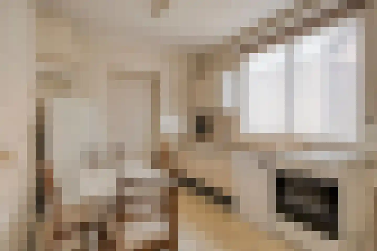 Laarweg 15 Aarle-Rixtel thumbnail 14