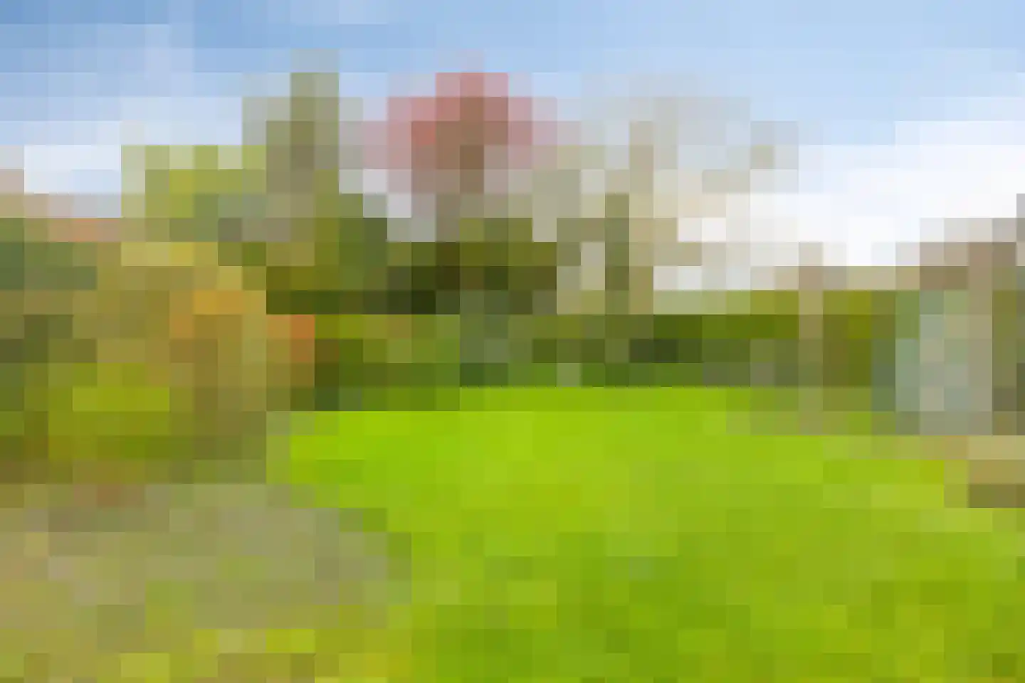 Laarweg 15 Aarle-Rixtel thumbnail 19
