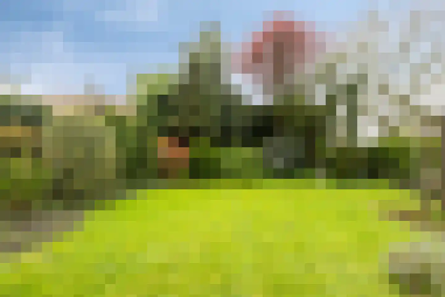 Laarweg 15 Aarle-Rixtel thumbnail 21