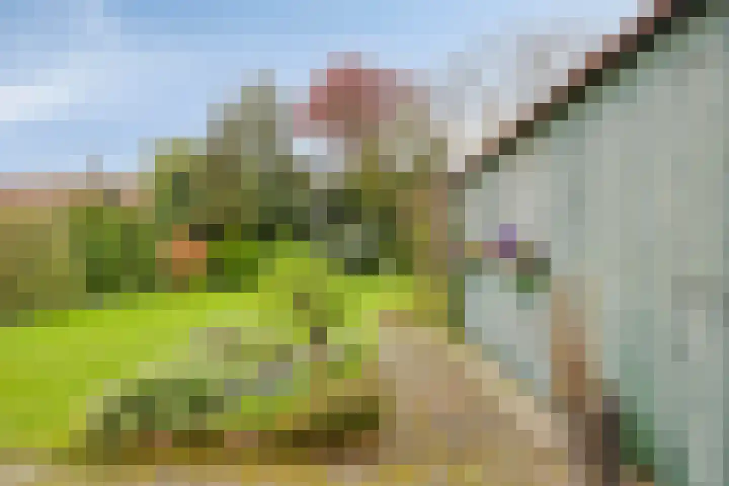 Laarweg 15 Aarle-Rixtel thumbnail 22