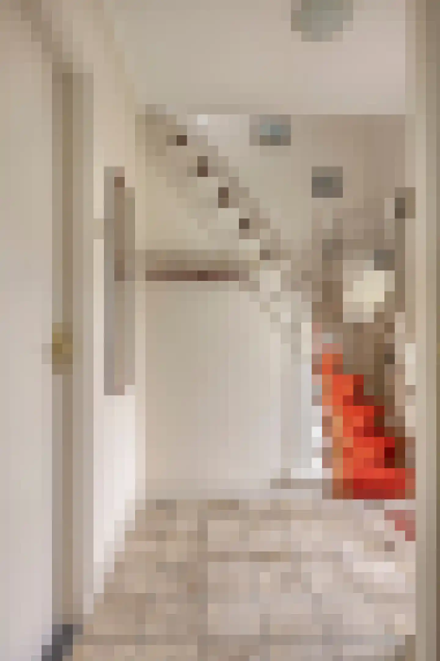 Laarweg 15 Aarle-Rixtel thumbnail 24