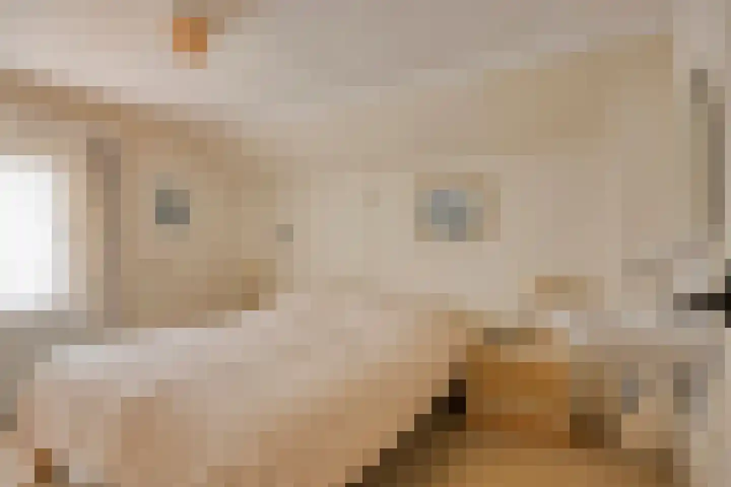 Laarweg 15 Aarle-Rixtel thumbnail 28