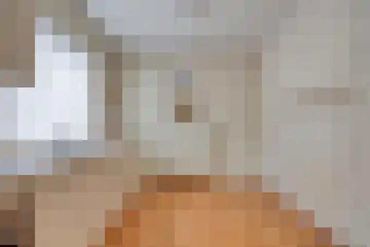 Laarweg 17 Aarle-Rixtel thumbnail 17