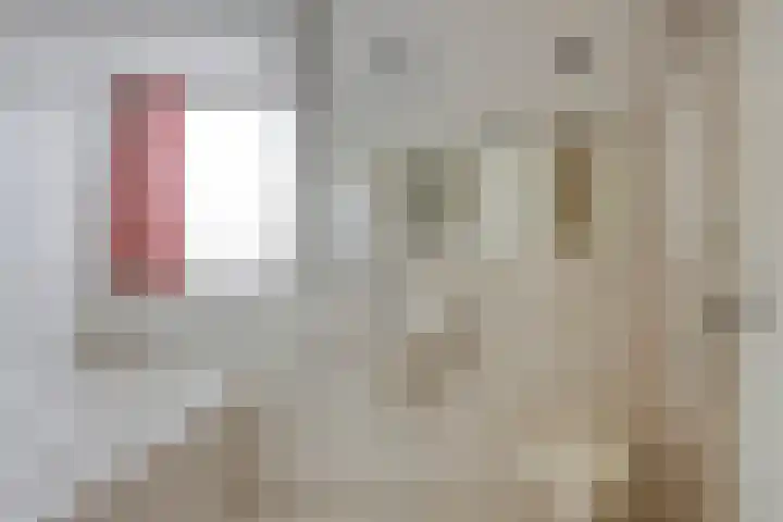 Laarweg 17 Aarle-Rixtel thumbnail 24