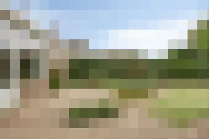 Laarweg 17 Aarle-Rixtel thumbnail 31