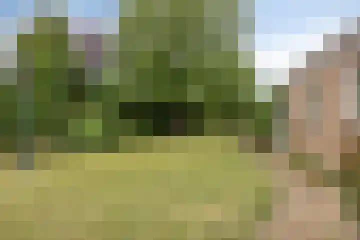 Laarweg 17 Aarle-Rixtel thumbnail 32