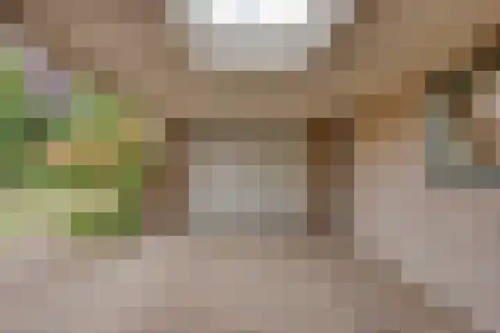 Laarweg 17 Aarle-Rixtel thumbnail 34