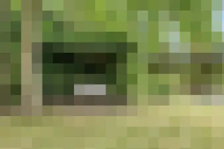 Laarweg 17 Aarle-Rixtel thumbnail 38
