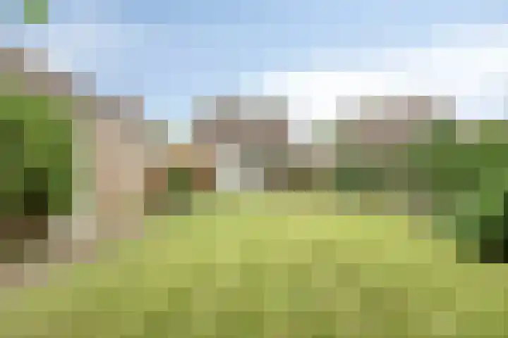 Laarweg 17 Aarle-Rixtel thumbnail 4