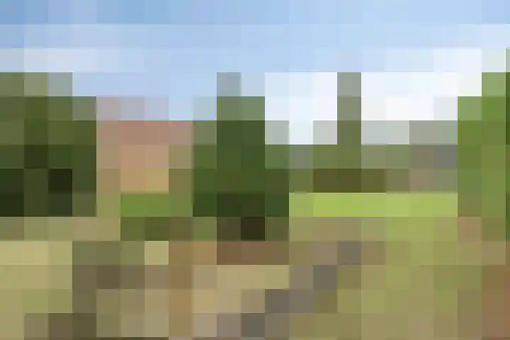 Laarweg 17 Aarle-Rixtel thumbnail 40